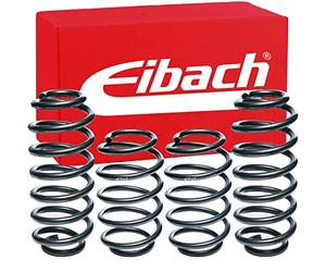 Eibach E10-15-029-01-22 - Molle ribassate