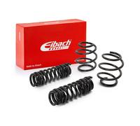 Eibach E10-20-049-01-22 PRO-Kit