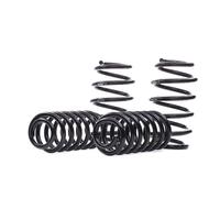 Molle EIBACH Pro Kit E10-81-009-05-22