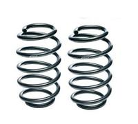 Eibach Kit sospensioni molle Pro-Kit E2064-120 per BMW Serie 5 (E39) 30/25 mm
