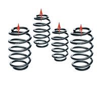 Eibach E30-42-043-03-22 Pro-Lift kit