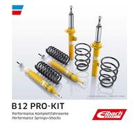 EIBACH E90-15-024-04-22 - Set di telaio, molla/ammortizzatore, EIBACH B12 Damptronic