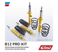 EIBACH E90-25-037-03-22 - Set di telaio ammortizzatore, molla/ammortizzatore, EIBACH B12 Pro-Kit