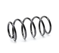 Eibach F11-30-020-01-FA Molla Sospensione Singola Molla ProKit