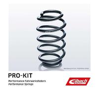 EIBACH F11-85-053-01-RA Molle ammortizzatori