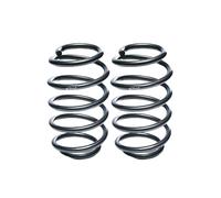 Molla del telaio EIBACH Pro-Kit E10-20-015-02-20