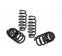 Eibach pro-Kit per 17-18 Tesla 3 Lungo Gamma (RWD) 1.2in Anteriore &