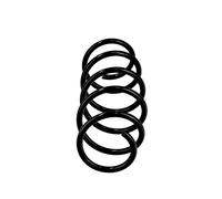 Molle Anteriore Ricambio OE R10018 per Opel Corsa 312 139 - 9200979 - 55958 - 37