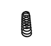 Molle posteriore Ricambio OE R10166 per Renault Megane II Kasten/Kombi, Megane I