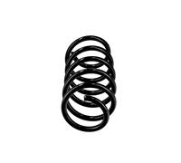 Molle Anteriore Ricambio OE R10250 per Opel MERIVA A 312246 - 312150 - 56007 - 8