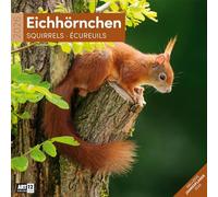 Eichhörnchen Broschürenkalender 2026 - 30x30 - Art12 | Niedlicher Tier-Kalender im schlanken Hochformat (aufgeklappt 30x60 cm) | Eintrage-Kalendarium