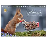 Eichhörnchen Luna und ihre Kinder (Tischkalender 2026 DIN A5 quer), CALVENDO Monatskalender: Zauberhafte Großaufnahmen von wilden Fotostars