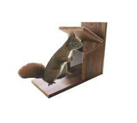 Eichhörnchenkasten 22x12x25 CM,Legno Rigido Casa Cottage Animali Selvaggi Vetro
