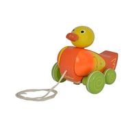 Eichhorn 100002423 Anatra Trainabile