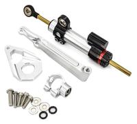 EIDASH Sterzo Stabilizzatore per CBR600RR CBR 600 RR CBR 600RR 2005 2006 Moto Ammortizzatore di Sterzo Stabilizzatore Lineare Invertito Controllo + Staffa(Silver Set)