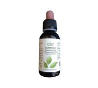 Eie Echinacea Gocce 60 Ml