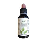 EIE Echinacea Gocce Integratore 60 ml