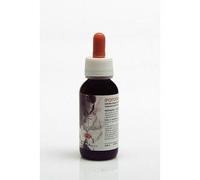Eie ipofoemin 60ml gtt