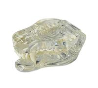 Eighosee Denti Canini Trasparenti Modello Anatomico Animali Dentali Mascella Dentale per Strumento Educativo Veterinario (Cane) Durevole