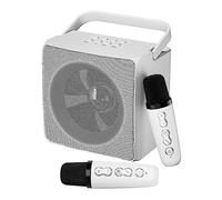 Eighosee Doppio Microfono Fili Outdoor Portatile Karaoke Altoparlante Bluetooth Di Piccole Dimensioni Ma Potente In Funzione