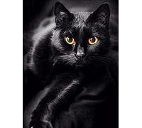 Eiialerm timbrato punto croce Kits Gatto nero animale fai da te Pre-Stampato ricamo Starter Kit per i Principianti-40x50cm(Tela prestampata 11CT)