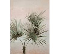 Eijffinger Carta da parati Palm Ombre - Grau Grün