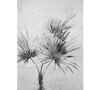 Eijffinger Carta da parati Palm Ombre - Greyscale