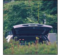 Eiko Ishibashi & Jim O'Rourke Pareidolia (Vinyl LP) 12" Album