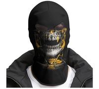 Eikuni Maschera a forma di teschio per Halloween, passamontagna integrale per inverno e freddo, Teschio Oro-Grigio, Taglia unica