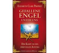 Eilzabeth Clare Gefallene Engel unter uns. Der Kampf um den spiritue (Tascabile)