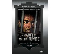 Ein Haufen toller Hunde (The Hill)