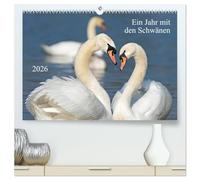 Ein Jahr mit den Schwänen (hochwertiger Premium Wandkalender 2026 DIN A2 quer), Kunstdruck in Hochglanz: Mit faszinierenden Bildern vom Leben der Schwäne im lauf eines Jahres.