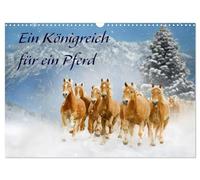 Ein Königreich für ein Pferd (Wandkalender 2026 DIN A3 quer), CALVENDO Monatskalender: Faszinierende, nicht alltägliche Bilder von verschiedenen Pferderassen