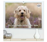 Ein Labradoodle-Welpe in der Heide (hochwertiger Premium Wandkalender 2026 DIN A2 quer), Kunstdruck in Hochglanz: Welpenbilder eines süßen Labradoodles beim Spiel und Spaß in der Heide