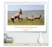 Ein Lächeln für die Tierwelt (hochwertiger Premium Wandkalender 2026 DIN A2 quer), Kunstdruck in Hochglanz: Portraits von Tieren in ihrem Lebensraum