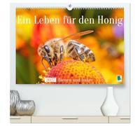 Ein Leben für den Honig: Bienen und Imker (hochwertiger Premium Wandkalender 2027 DIN A2 quer), Kunstdruck in Hochglanz: Die Welt der Honigbienen: Großaufnahmen der fleißigen Bienen