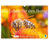 Ein Leben für den Honig: Bienen und Imker (Wandkalender 2027 DIN A3 quer), CALVE