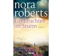 Ein leuchten im sturm: Roman