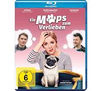 Ein Mops zum Verlieben