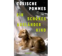 Ein schönes Ausländerkind: Roman