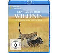 Ein Tag in der Wildnis - 24 Stunden auf 4 Kontinenten - National Geographic