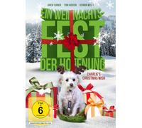 Ein Weihnachtsfest der Hoffnung - Charlie's Christmas Wish – Sue Ann Taylor – DVD