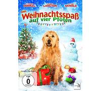Ein Weihnachtsspaß auf vier Pfoten