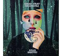 Einar Stray Orchestra - Dear Bigotry