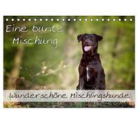 Eine bunte Mischung - wunderschöne Mischlingshunde / Geburtstagskalender (Tischkalender 2026 DIN A5 quer), CALVENDO Monatskalender: Wunderschöne Mischlingshunde für das ganze Jahr