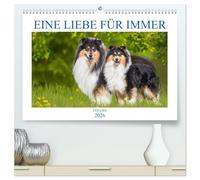 Eine Liebe für immer - Collies (hochwertiger Premium Wandkalender 2026 DIN A2 quer), Kunstdruck in Hochglanz: 13 wundervolle Fotos der Fotografin ... Collies begleiten und durch das Jahr