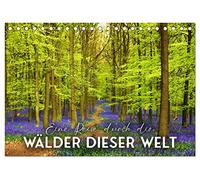 Eine Reise durch die Wälder dieser Welt (Tischkalender 2026 DIN A5 quer), CALVENDO Monatskalender: Eine Oase für Geist und Körper.