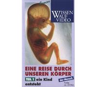 Eine Reise durch unseren Körper 1 - Ein Kind ent