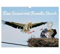 Eine Saison mit Familie Storch (Wandkalender 2026 DIN A3 quer), CALVENDO Monatskalender: Begleiten Sie eine Storchenfamilie durch die Stationen einer Brutsaison