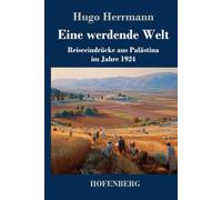 Eine werdende Welt: Reiseeindrücke aus Palästina im Jahre 1924